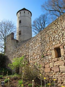 Burg Plesse 35