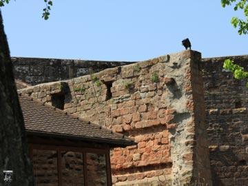 Burg Landeck 10