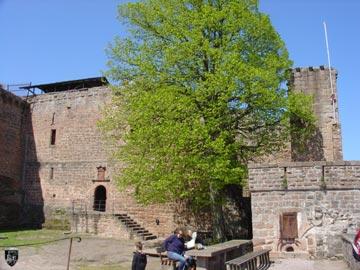 Burg Madenburg 29