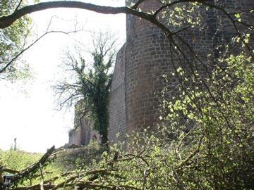 Burg Madenburg 61