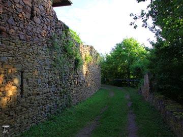 Burg Montfort 69