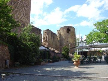 Burg Neuleiningen 5