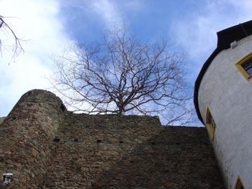 Burg Frauenstein 29