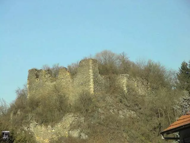 Burg Argenschwang, Rosenburg