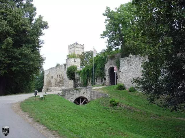 Burg Eckartsburg