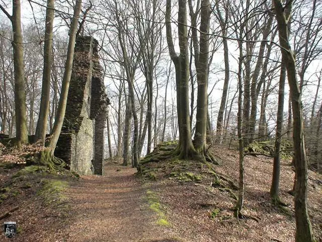 Burg Neuenberg, Neuenburg