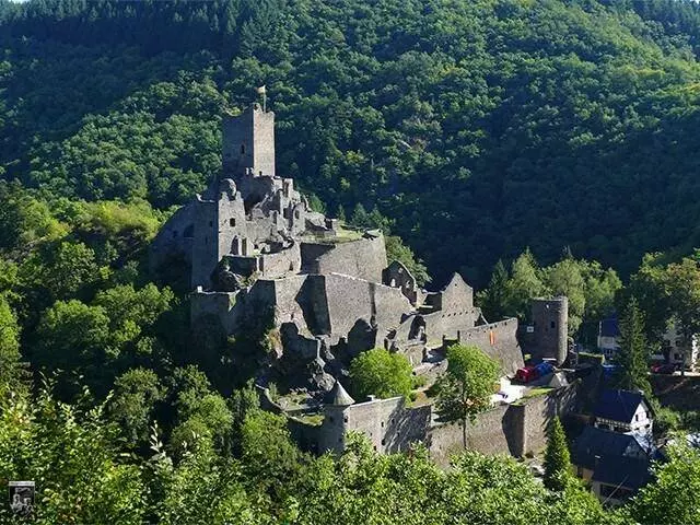 Burg Niedermanderscheid, Manderscheider Niederburg