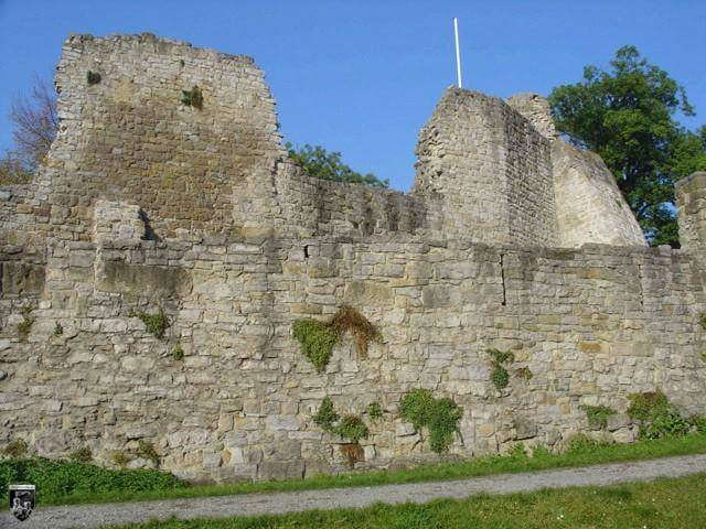 Burg Nippenburg