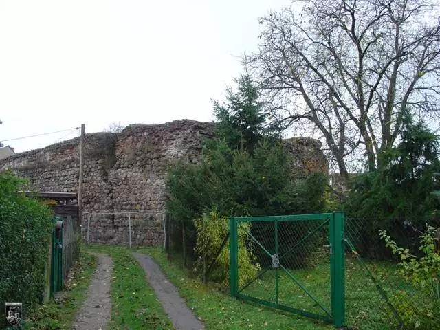 Burg Oderburg, Bärenkasten