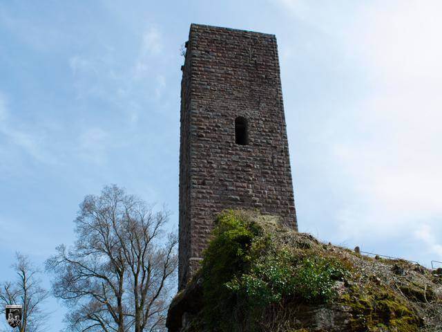 Burg Scharfenberg