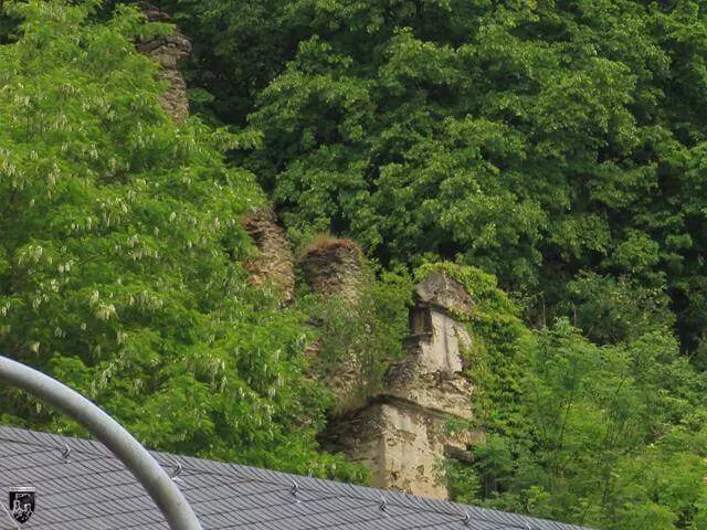 Steinsche Burghaus Sayn, Burg Stein