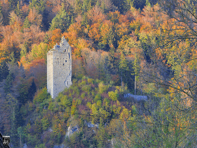 Burg Vilsegg