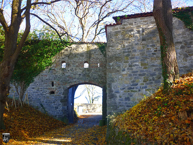 Burghalde Kempten, Burg Kempten